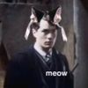 beli_diggory