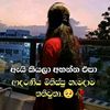 user07185217