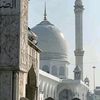 gulbibi17