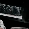 gnlezz12