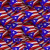 ms.rican07