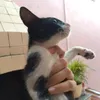 cloud_haschwalth95