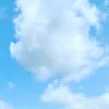 wakowata