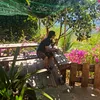 nguyenngochuy43