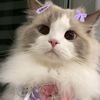 iamtheprinces5