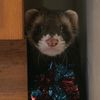 tobi_toebeans
