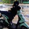 plerkoyok2