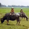 xuan261991