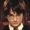 sebathepotterhead