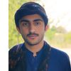 hameed.155