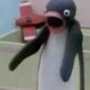 fjchccjdtfzdibk