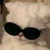 raja_writes05
