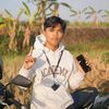 mas.bamss