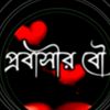 mdpervez388