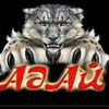 user9031186209846