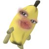 hnncha_