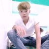 vjpboydu