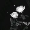 _xxxtensdxxx_