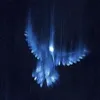 mariposa.m37