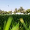 sohailk673