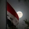 saad1992527