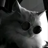 jhayjhay_1