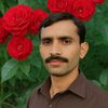 kashifshah5579