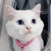 _kchi102