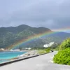 niiccoco
