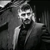 sfyan_m2