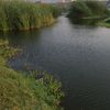 samer8825