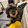 kaiser_franzi