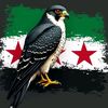.khaled.qais