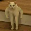 nhinaaa_02
