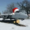 grumman_f_14