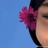dy3ihoqg9dn0