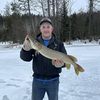 savageduck43