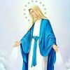 lig.maryam.ye