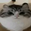 chloe_slide