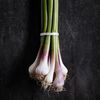 green_garlic_