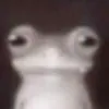 notstraubery