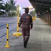vince_jv
