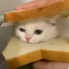mrmorgan9989