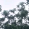 llllllllllklllll4