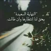 zakariaazehaf
