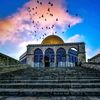 echoesofpalestine2
