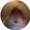 sike6792