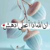 salwaroushdy5