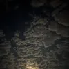 arshad_dlshad