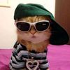 user85913920